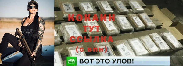 стафф Вязьма