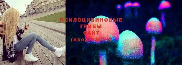 меф Пересвет
