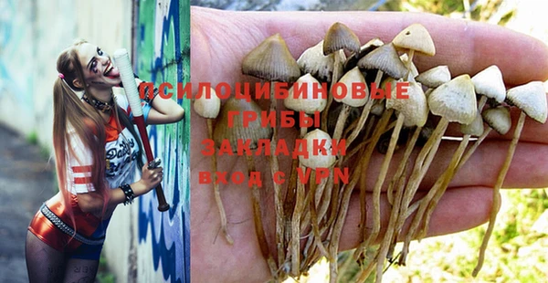 дурь Пестово