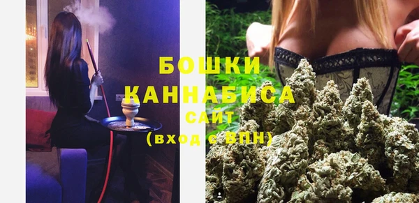 меф Пересвет