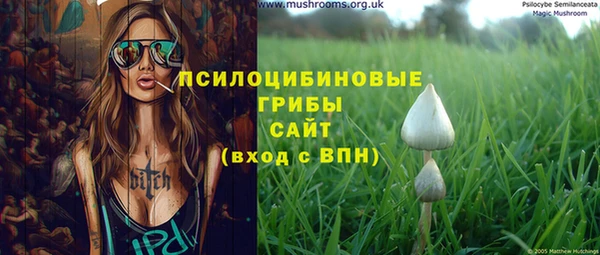 дурь Пестово