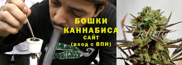 дурь Пестово